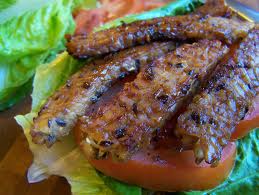 Tempe "Bacon"